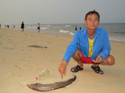 vu ca chet: hon 20 ngay khong co doan khach du lich den quang binh hinh anh 2