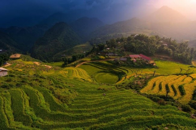 Thung lũng Mường Hoa ở Sa Pa nổi tiếng với những cánh đồng ruộng bậc thang nằm trên sườn núi.