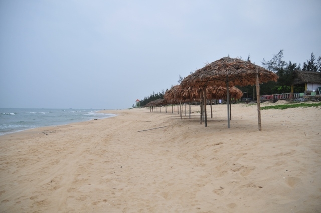 cá chết, Quảng Bình