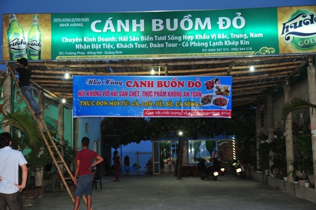 cá chết, Quảng Bình