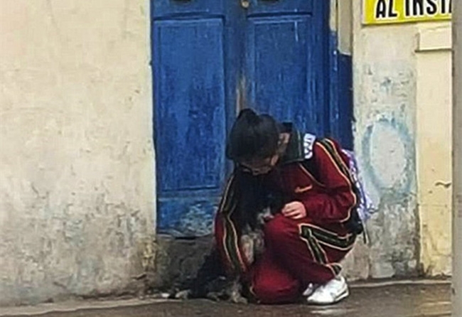 Hình ảnh cô gái dừng lại bên đường che mưa cho chú chó lang thang khiến nhiều người cảm động - Ảnh 2.