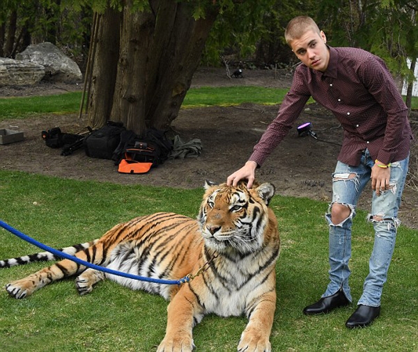 justin-bieber-kem-vui-khi-tham-du-tiec-dinh-hon-cua-bo-6