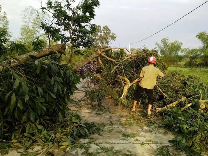 loc xoay bat ngo “can quet” ha tinh, thiet hai 16 ty hinh anh 2