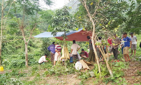 nghi an chong giet vo roi len doi treo co tu tu hinh anh 1