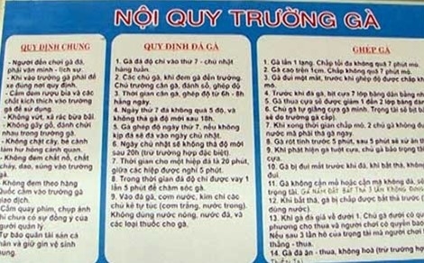 Pha 'thu phu da ga' o Quang Binh gay chan dong gioi ca cuoc hinh anh 2