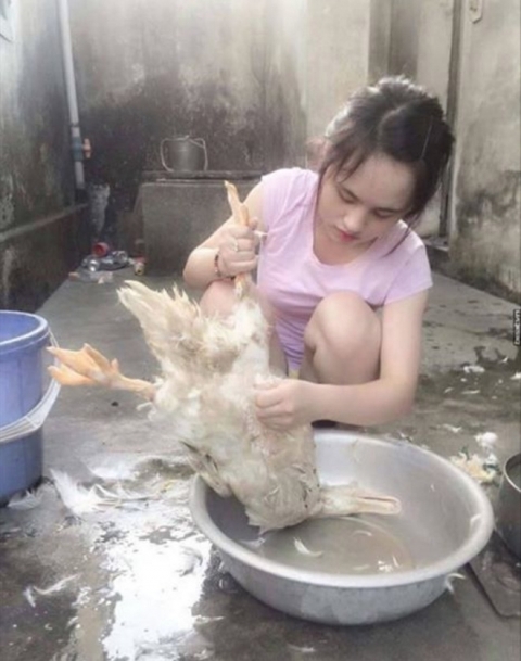 Dân mạng truy tìm 
