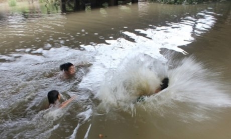 Vụ 3 anh em ruột cùng chết đuối trong ao cá của nhà ở Thanh Miện, Hải Dương một