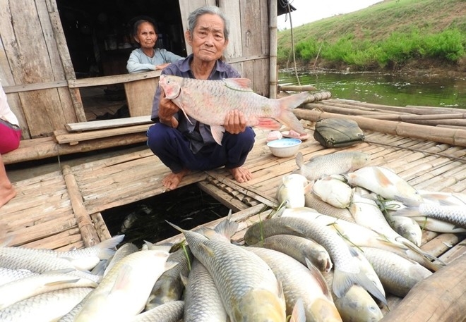 Cong an Thanh Hoa vao cuoc vu ca chet tren song Buoi hinh anh 1
