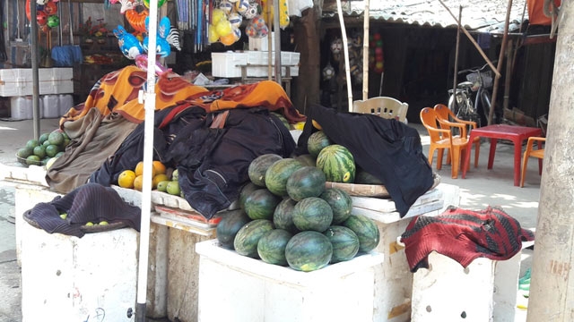 muon “chieu” doi pho nang 40 do c cua nong dan ha tinh hinh anh 4