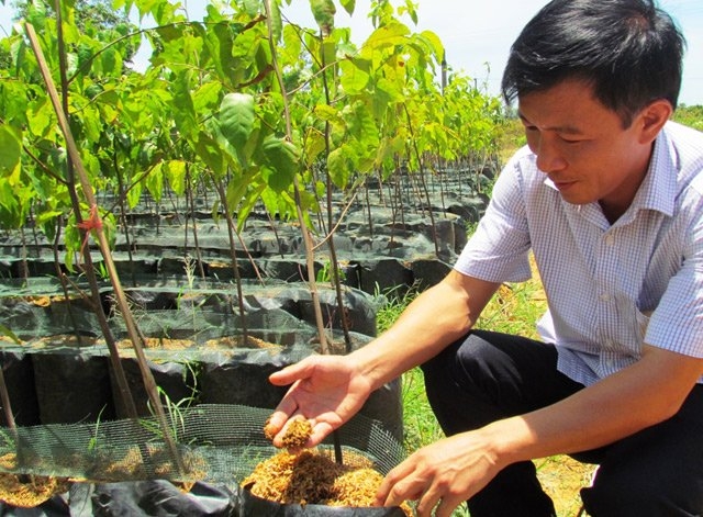 muon “chieu” doi pho nang 40 do c cua nong dan ha tinh hinh anh 8