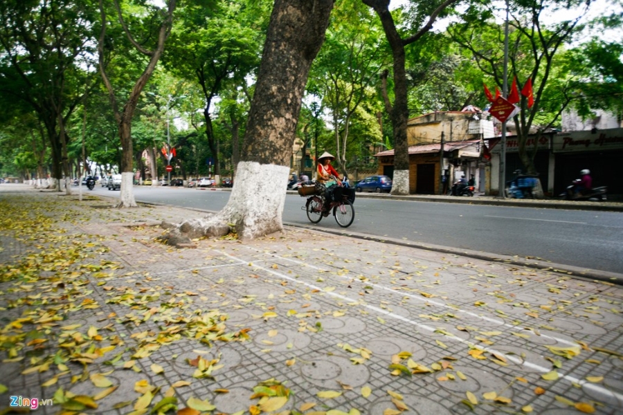 Ha Noi tro gio mat nhu mua thu hinh anh 15
