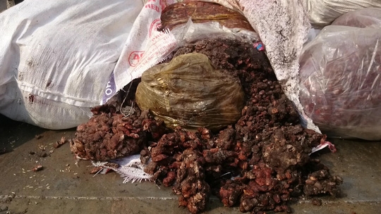  Nhiều bao me đã hư hỏng, vón cục. 