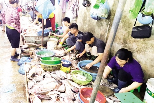 tap nap khach 'san' ca uon gia re tai cho thuc pham ha noi - 1