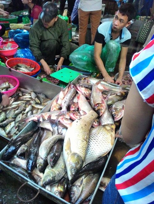 tap nap khach 'san' ca uon gia re tai cho thuc pham ha noi - 2