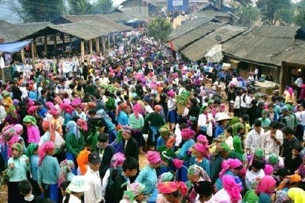 Cong an 2 tinh vao cuoc vu co gai nghi bi bat coc hinh anh 1