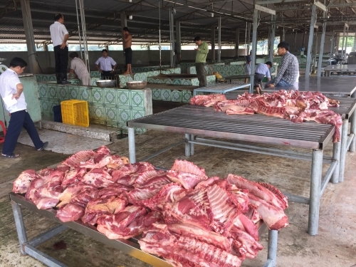 Kinh hãi đánh tráo heo dính chất cấm để giết mổ bán ra thị trường - Ảnh 3