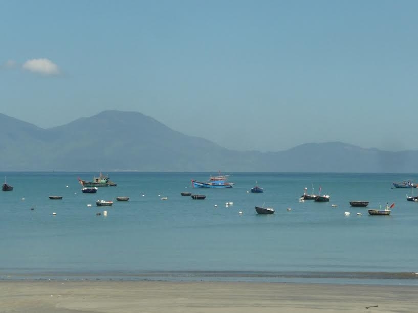 da nang kiem tra khan thong tin dan ga an ca bien lan ra chet hinh anh 1