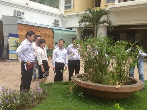 Vi rút Zika xuất hiện tại quận 7 TP.HCM