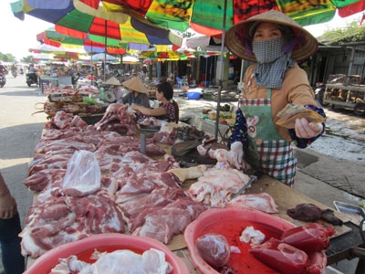 so “lon bet”, dan khong dam an hinh anh 1