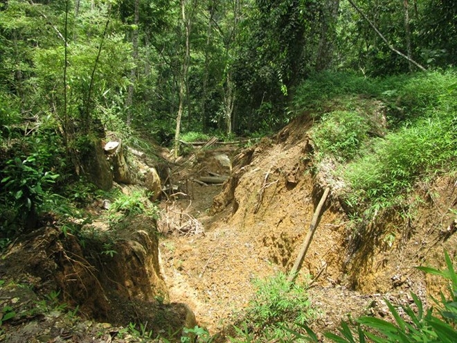 3 phu vang bi ngat khi doc, mac ket duoi hang sau hinh anh 1