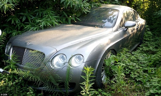 Chiếc Bentleys này bị cây cỏ mọc vây quanh và hết hi vọng gặp lại chủ. Ảnh: CEN