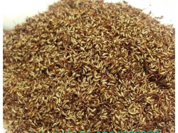 Nguoi Ha Noi lung mua thach rung bi an an giai nhiet hinh anh 1