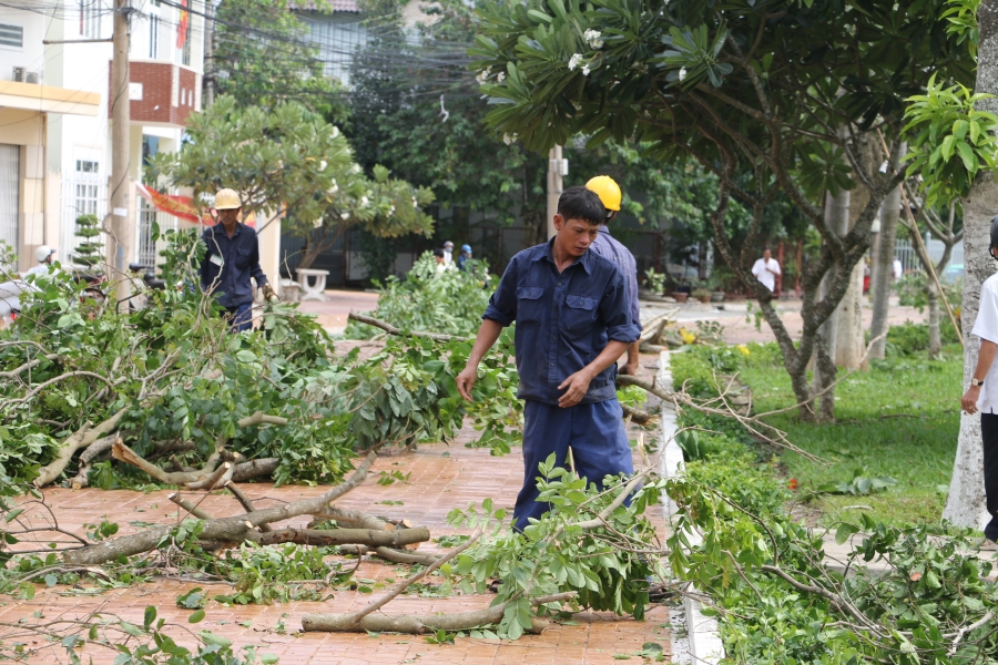 Gió lốc làm ngã nhiều cây xanh