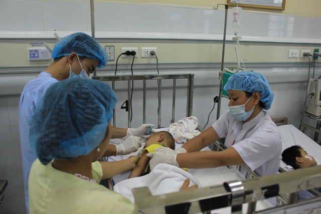  Hà Nội đã có 9 ca viêm não Nhật Bản. Ảnh minh họa 