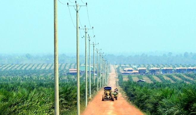 Ty phu lam nong nghiep: O at ra mat, am tham thao chay hinh anh 1
