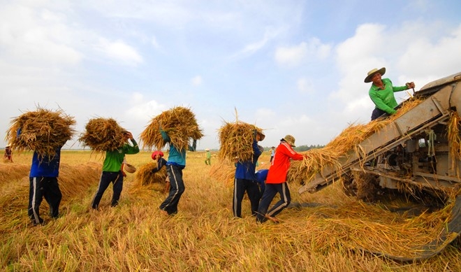 Ty phu lam nong nghiep: O at ra mat, am tham thao chay hinh anh 2