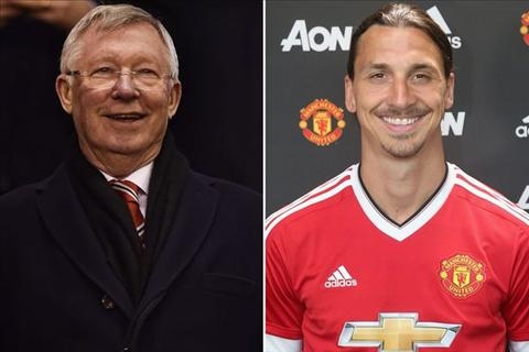 Sir Alex khong bao gio mua kieu cau thu nhu Ibrahimovic hinh anh