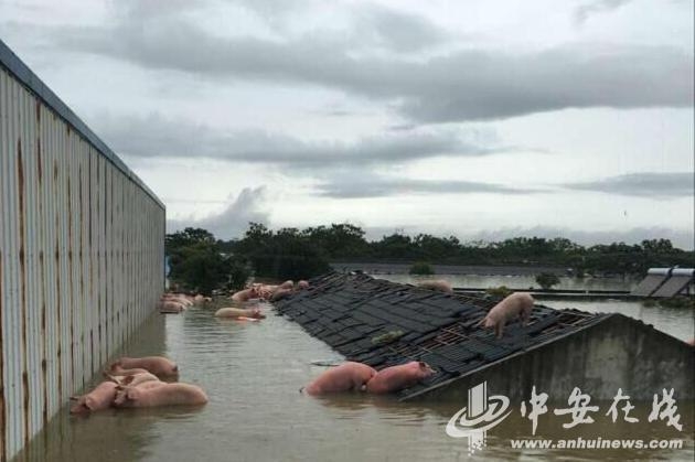 Những hình ảnh không thể tưởng tượng nổi trong trận mưa lũ nghiêm trọng ở Trung Quốc - Ảnh 17.