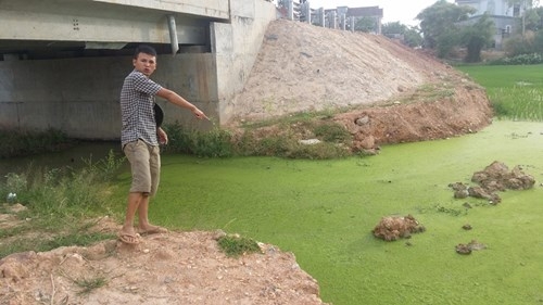 Dân phản đối Bệnh viện lao và phổi xả nước thải ra đồng lúa - ảnh 3