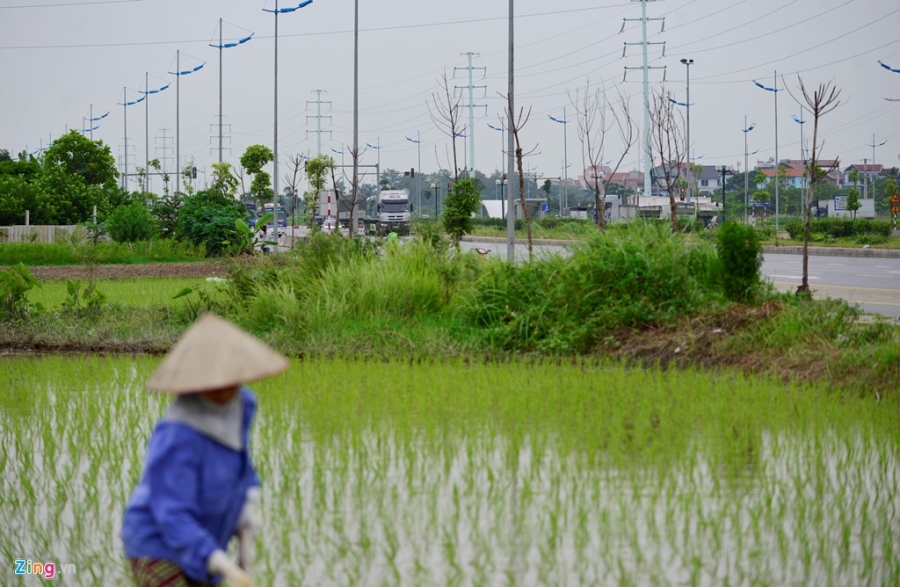 Toan canh duong du kien dat ten Hoang Sa, Truong Sa o Ha Noi hinh anh 14
