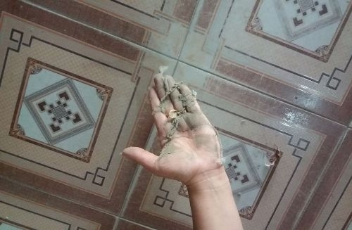 Dân tố nhà máy xả bụi bông, lãnh đạo khẳng định chỉ… đốt lá cây? - Ảnh 2