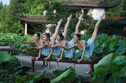 Loạt chân dài nhảy múa ở hồ sen bị dân mạng chỉ trích - Ảnh 1.