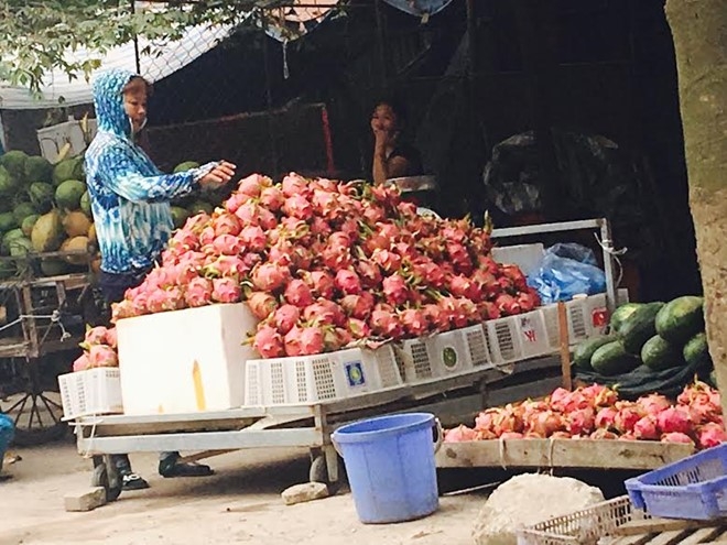Ra den Ha Noi, thanh long ruot do dat gap 30 lan hinh anh 1