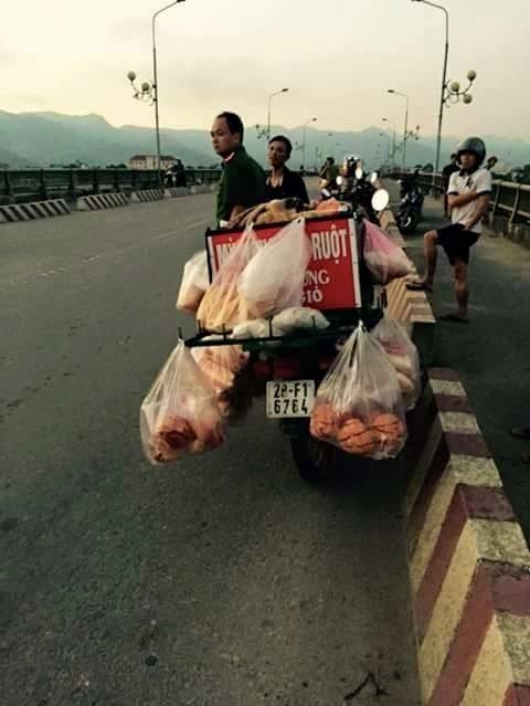 Điều tra vụ người đàn ông nhảy cầu nghi bị truy sát - Ảnh 1 Điều tra vụ người đàn ông nhảy cầu nghi bị truy sát - Ảnh 1