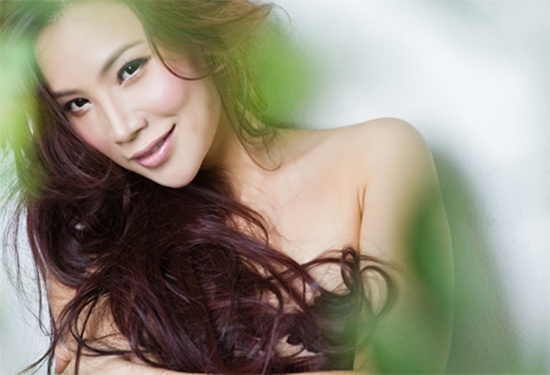Hà Hồ, Mỹ Linh, Đàm Vĩnh Hưng, Hà Hồ, Mỹ Tâm, hồ ngọc hà