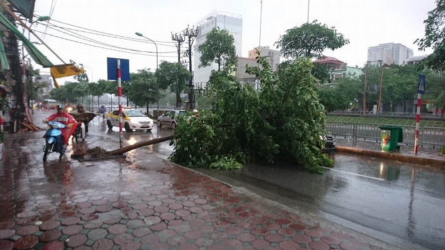  Phó Khương Đình - Thanh Xuân lúc 6h20 sáng nay. 