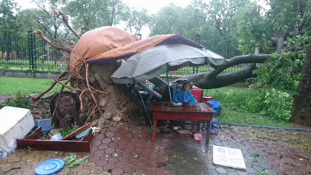  Một phụ nữ bán nước vỉa hè tranh thủ lúc mưa ngớt, gió tạm ngưng rít, chạy ra chằng chống, buộc lại tài sản. Cây lớn cạnh quán nước của bà bị bật gốc, gây hư hỏng một số bàn ghế... 