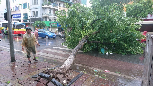  Phố Hàng Bài. 