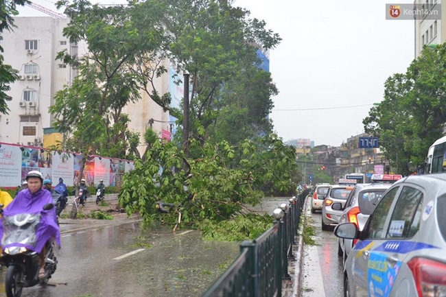 Hà Nội: Bất chấp nguy hiểm, gió to, người dân lao vào cứu 2 phụ nữ bị cây đè do bão - Ảnh 3.
