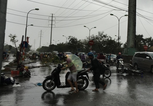  Mọi người không thể tiếp tục đi tiếp tìm chỗ trú 