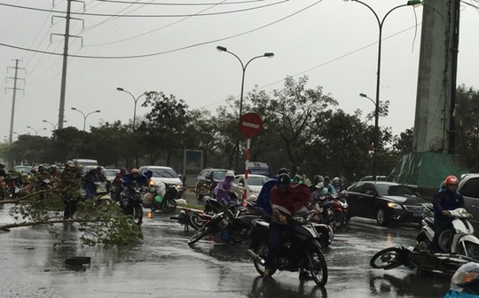  Gió giật mạnh khiến nhiều xe đổ ngã dúi dụi 