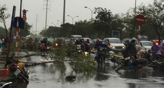 Hà Nội: Gió giật kinh hoàng, hàng trăm người bỏ xe chạy thoát thân