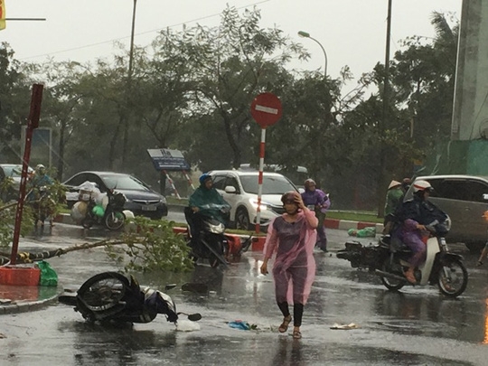 Hà Nội: Gió giật kinh hoàng, hàng trăm người bỏ xe chạy thoát thân