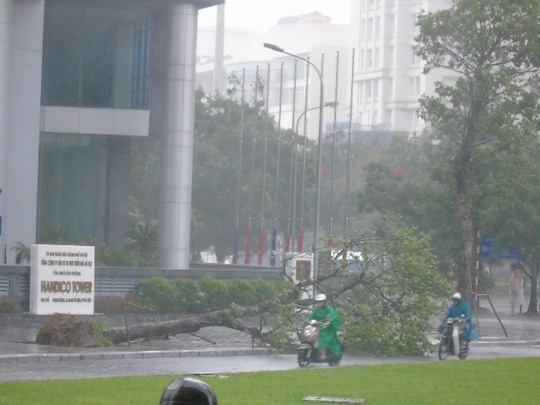 Hà Nội: Gió giật kinh hoàng, hàng trăm người bỏ xe chạy thoát thân