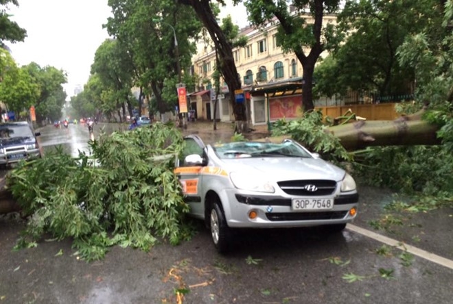 Ha Noi: Mot nguoi chet, 5 bi thuong do bao Mirinae hinh anh 1