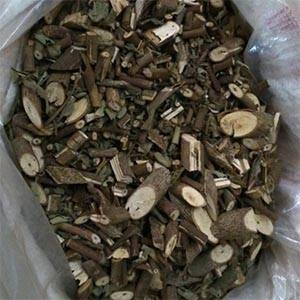 Thực hư 'thần dược' cây an xoa chữa khỏi ung thư giai đoạn cuối? - Ảnh 2